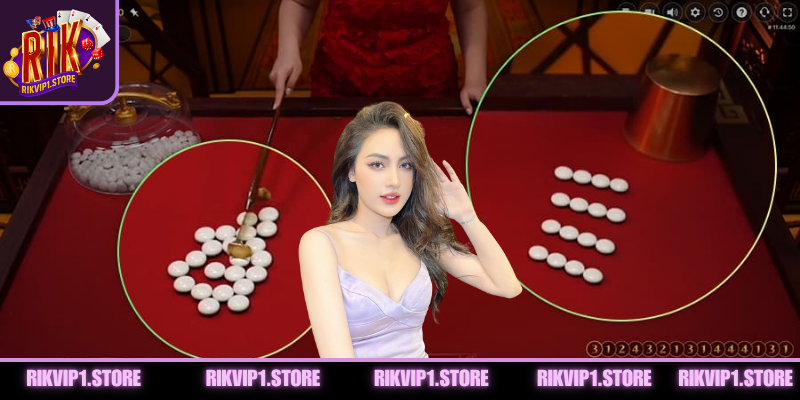 Hướng dẫn thao tác đặt cược trong game bài Fantan